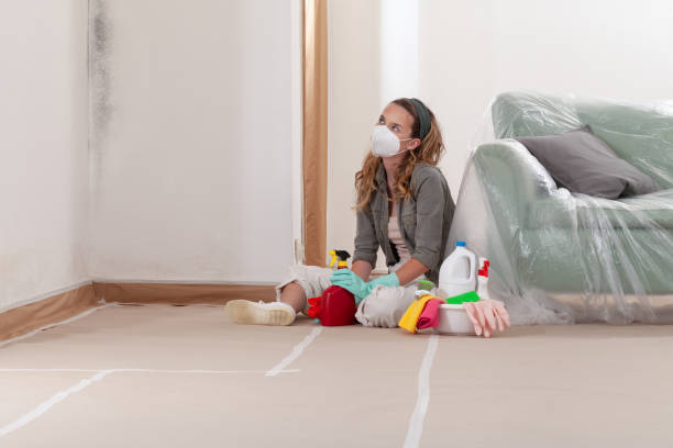 Reliable Attic Mold Removal contractor in Curtis Bay, MD by WQB Mold Removal